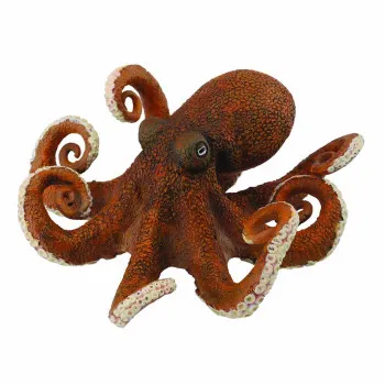 COLLECTA HOBOTNICA 11cm X 4cm