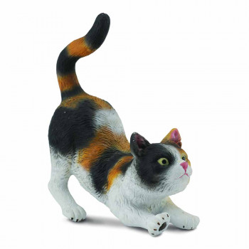COLLECTA MACKA 6cm X6.5 cm 