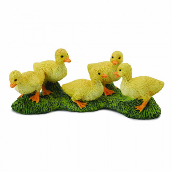 COLLECTA PACICI 6cm X 2.5cm 