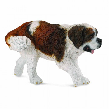 COLLECTA BERNARDINAC 10cm X 5 cm 