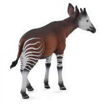 COLLECTA OKAPI 