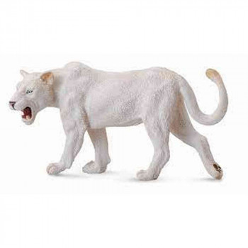 COLLECTA BELA LAVICA 