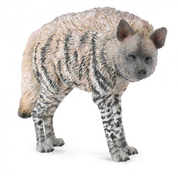 COLLECTA PRUGASTA HIJENA 