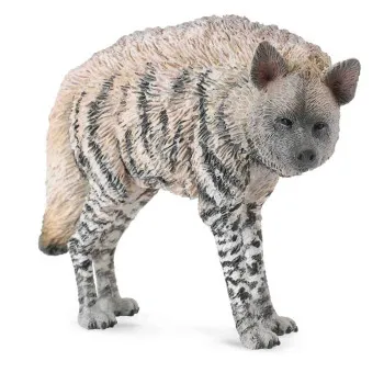 COLLECTA PRUGASTA HIJENA