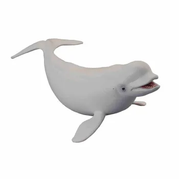 COLLECTA BELI KIT 17.5cm X 5cm