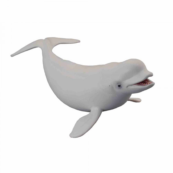 COLLECTA BELI KIT 17.5cm X 5cm 