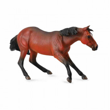COLLECTA PASTUV 16.3cm X 8.7 cm 
