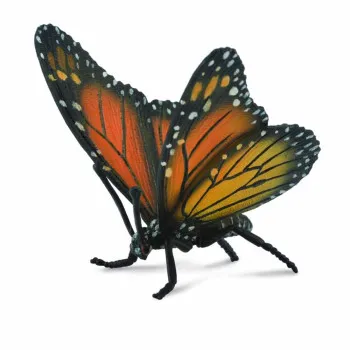 COLLECTA LEPTIR