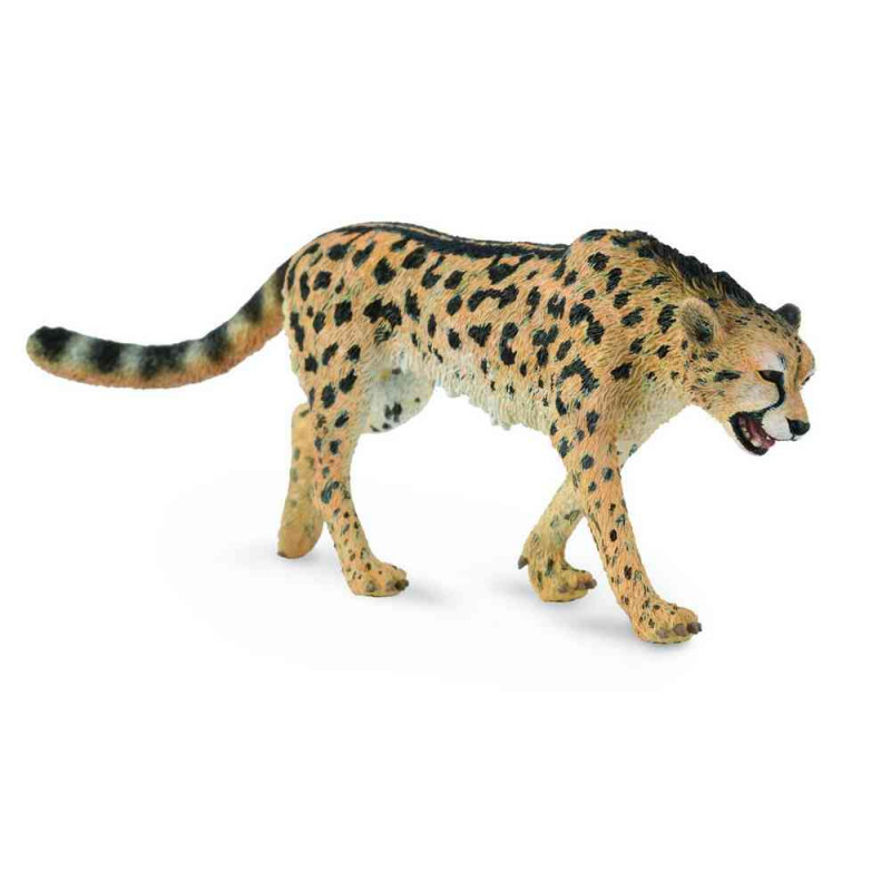COLLECTA KING CHEETAH 13cm X 5cm