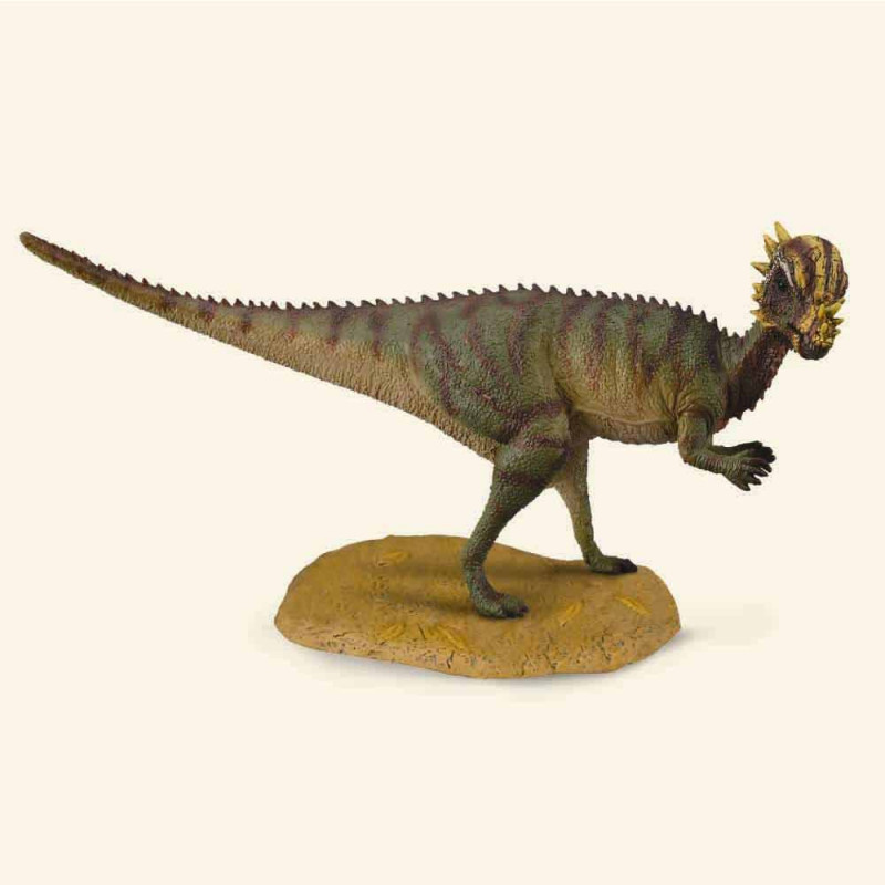 COLLECTA PACHYCEPHALOSAURUS 12.8 x 5.7 cm