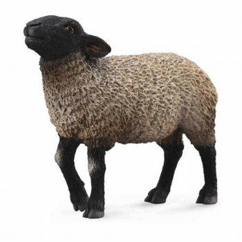 COLLECTA SUFFOLK 9.5cm X 6.5 cm 