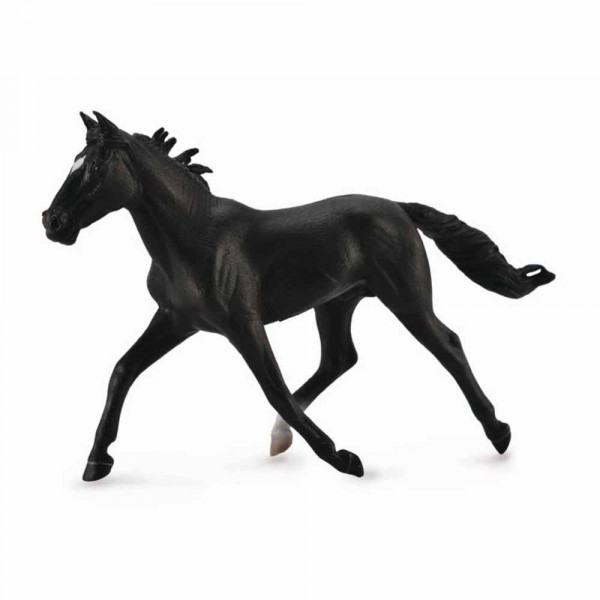 COLLECTA CRNI KONJ 