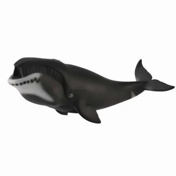 COLLECTA BOWHEAD WHALE 22.3cm X 10.9cm 