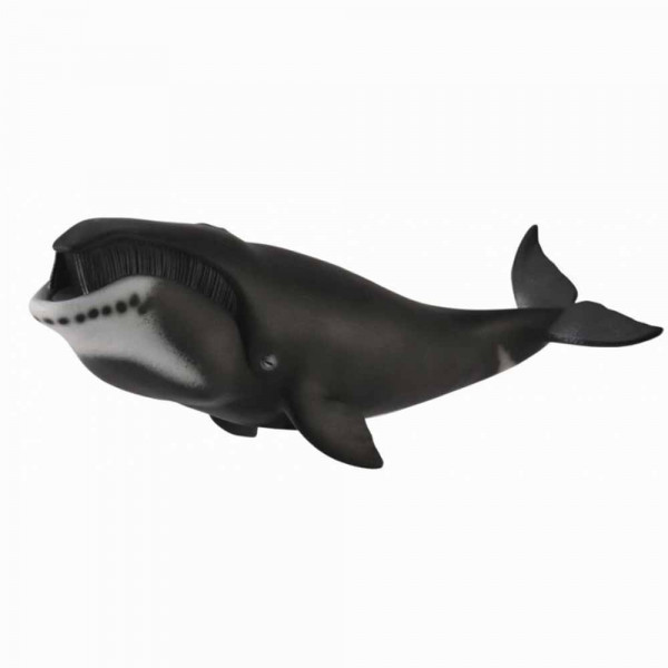 COLLECTA BOWHEAD WHALE 22.3cm X 10.9cm 