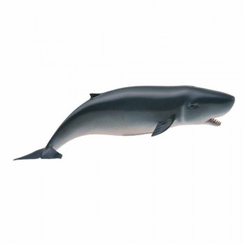 COLLECTA PYGMY WHALE 15.2cm X 3.8cm 