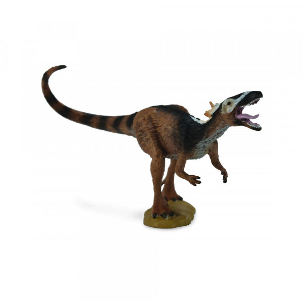 COLLECTA XIONGGUANLONG 