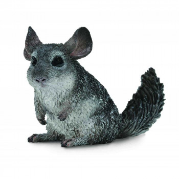 COLLECTA CINCILA 5.5cm X 3.8cm 