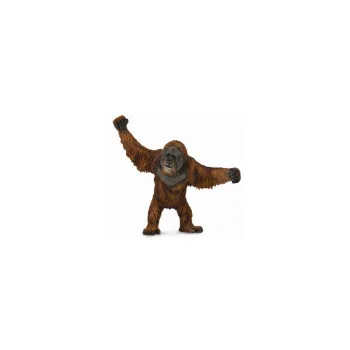COLLECTA ORANGUTAN