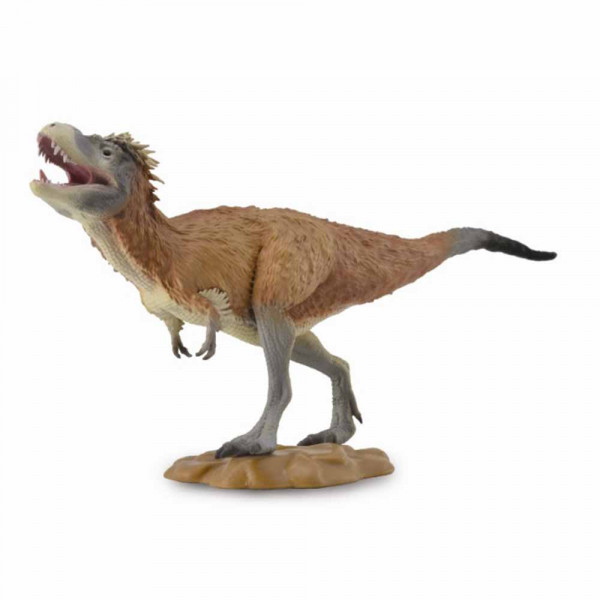 COLLECTA LYTHRONAX 