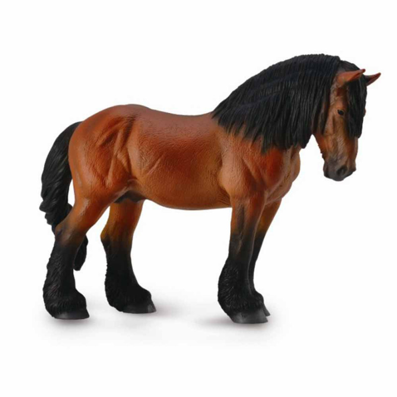COLLECTA ARDENNES STALLION- BAY 