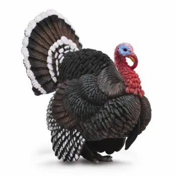 COLLECTA TURKEY