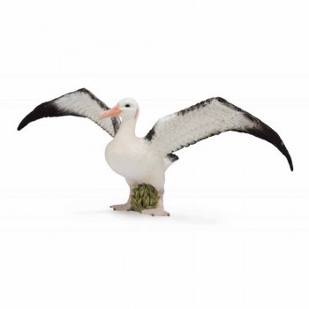 COLLECTA WANDERING ALBATROSS 