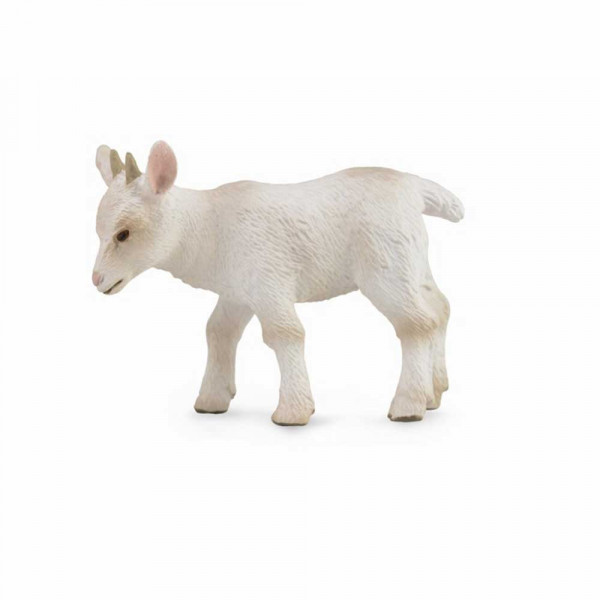 COLLECTA JARE U POKRETU 