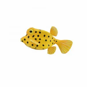 COLLECTA BOX FISH