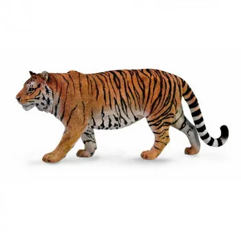 COLLECTA SIBRSKI TIGAR