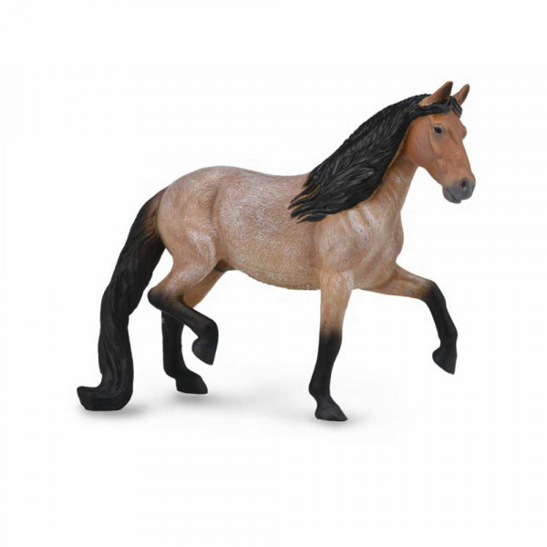 COLLECTA MANGALARGA PASTUV 