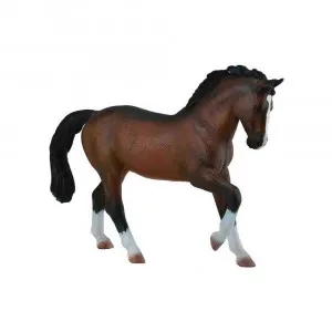 COLLECTA WARMBLOOD STALION BAY