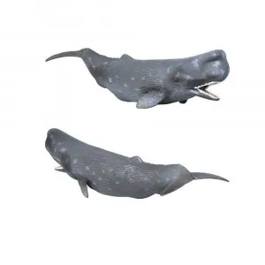 COLLECTA KIT ULJESURA