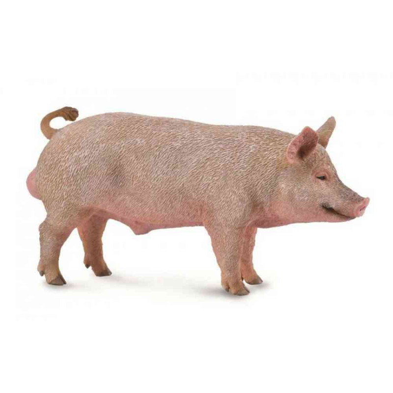 COLLECTA VEPAR