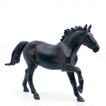 COLLECTA NONIUS KONJ 