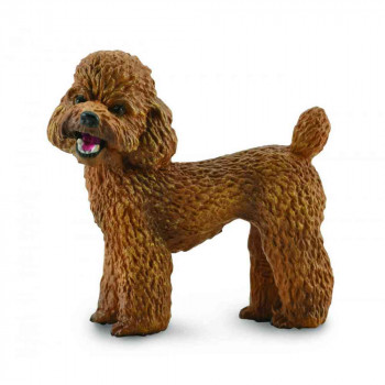 COLLECTA PUDLA 