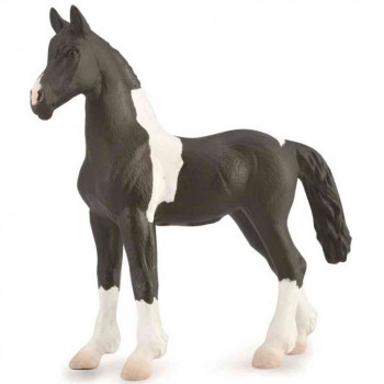 COLLECTA SARENO ZDREBE 
