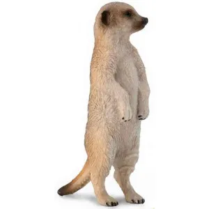 COLLECTA MEERKAT