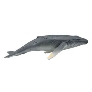 COLLECTA HUMPBACK WHALE CALF