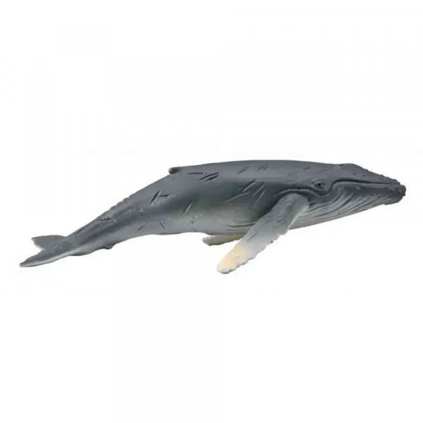 COLLECTA HUMPBACK WHALE CALF 