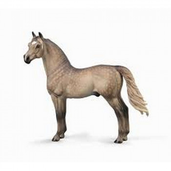 COLLECTA MORGAN STALLION - SILVER GRULLA 