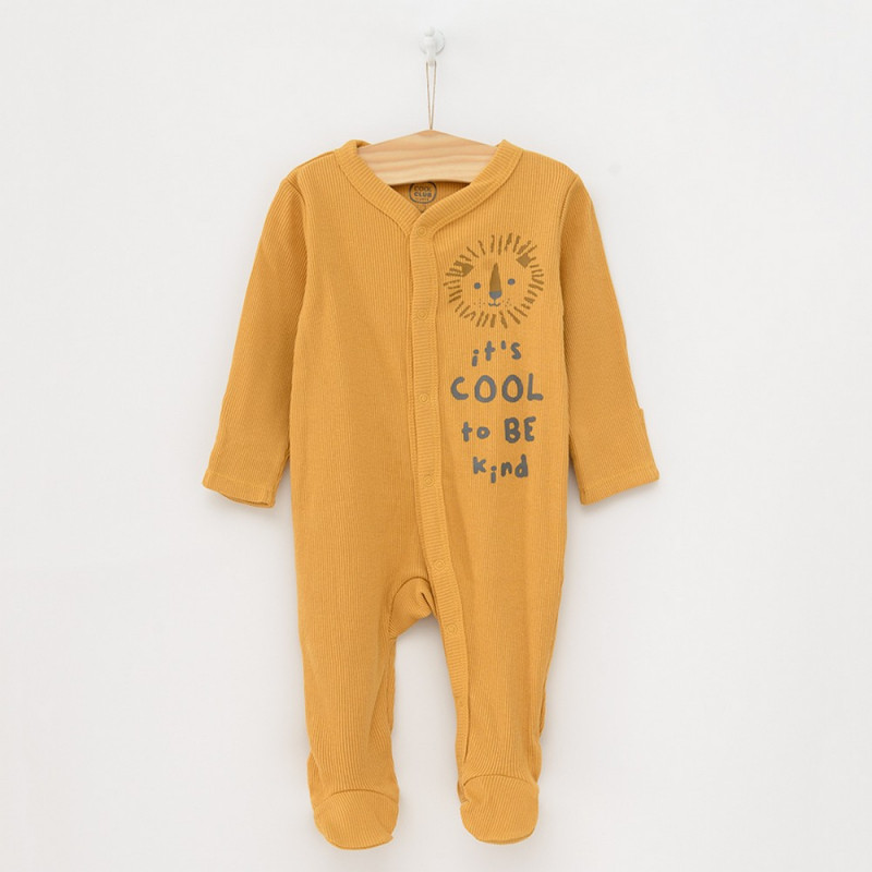 COOL CLUB ZEKA 1-COOL SCHOOL