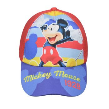 LICENCE ONLY KACKET MICKEY 