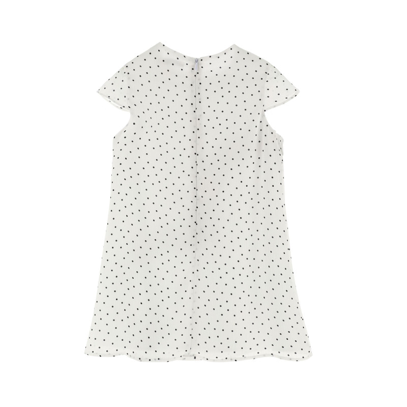 ORIGINAL MARINES HALJINA SPECIAL DAY 