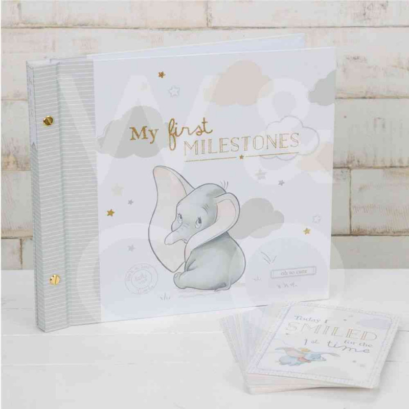 WIDDOP AND CO FOTO ALBUM DISNEY MAGICAL BEGI