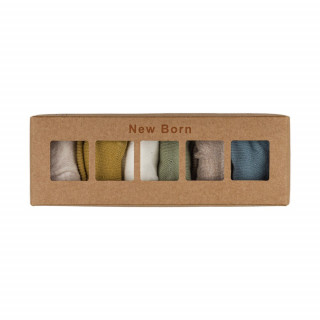 DEFNE CARAPE BOY BOX 6/1