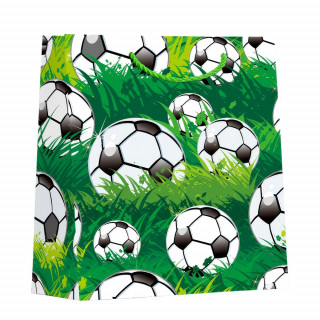 UKRASNA KESA SREDNJA FOOTBALL ASST 