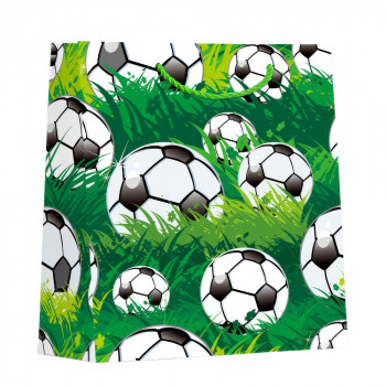 UKRASNA KESA SREDNJA FOOTBALL ASST 