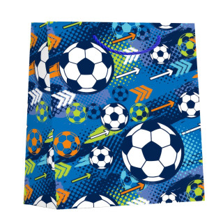 UKRASNA KESA MALA FOOTBALL ASST 