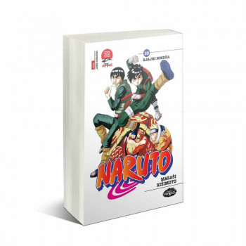 NARUTO MANGA 10 