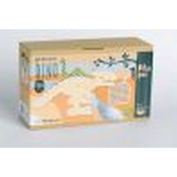 PIKA PAU DRVENI MALI DINOSAURUS 